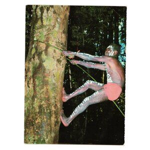 Vintage Aboriginal Tree Climber Postcard Jungle Malanda Tribe Life History Man